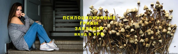ешки Алексин