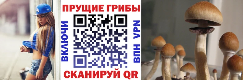 Галлюциногенные грибы прущие грибы  Ессентукская 